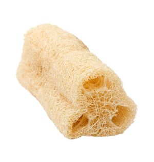 Bucha Vegetal Ação Natural (30)