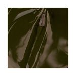 img03