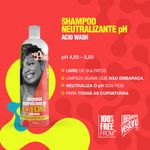 Shampoo Soul Power 315ml Neutralizante Ph.acidif