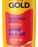 Condicionador Niely Gold 275ml Rec.potente Queratina