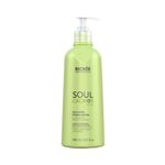 Gelatina Richee 500ml Model.soul Cachos
