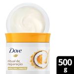 pdp-descricao-1
