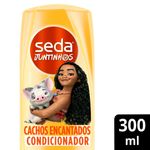pdp-descricao-1