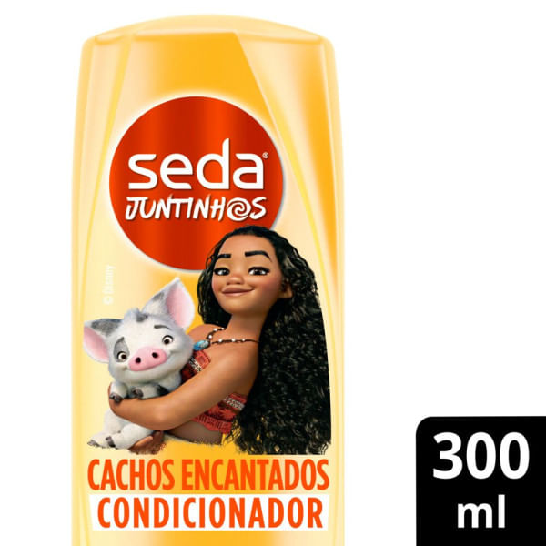 pdp-descricao-1
