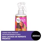 pdp-descricao-1