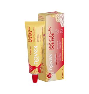 Máscara de Hidratação Novex Cicatrização dos Fios Recarga de Aminoácidos 80g