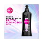 pdp-descricao-2