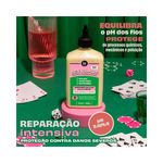 pdp-descricao-2