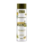 COND BELEZA NAT 300ML EXPLOSAO AZEITE DE OLIVA