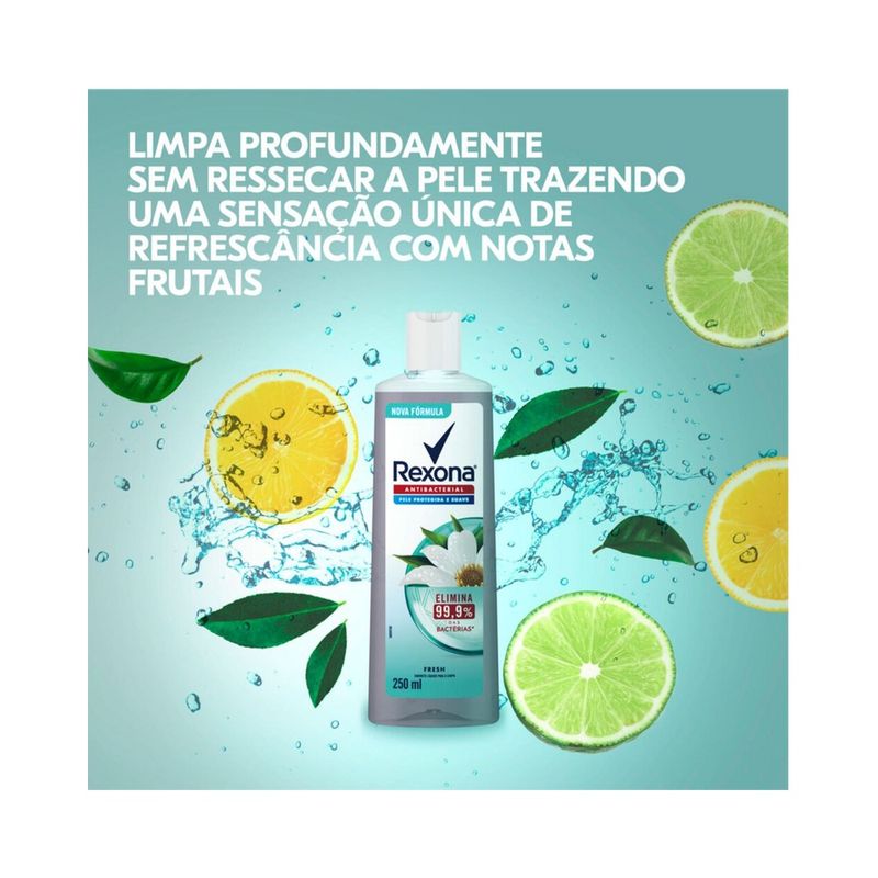 pdp-descricao-2