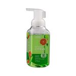 pdp-descricao-1