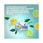 pdp-descricao-2