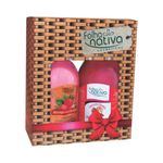 pdp-descricao-1