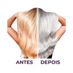 pdp-descricao-2