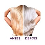 pdp-descricao-2