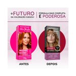 pdp-descricao-2