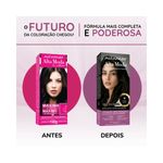pdp-descricao-2