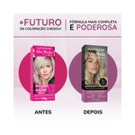 pdp-descricao-2