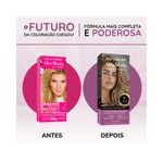 pdp-descricao-2