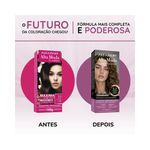 pdp-descricao-2
