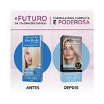 pdp-descricao-2
