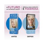 pdp-descricao-2