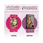 pdp-descricao-2