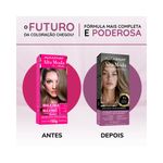 pdp-descricao-2