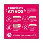 pdp-descricao-2