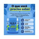 pdp-descricao-2