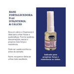pdp-descricao-2