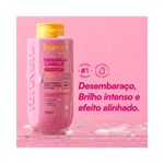 pdp-descricao-2