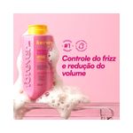 pdp-descricao-2